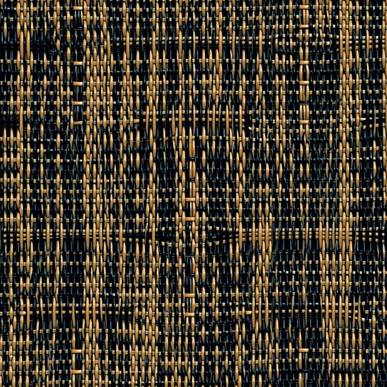 Bamboo 50 _ 2503.jpg
